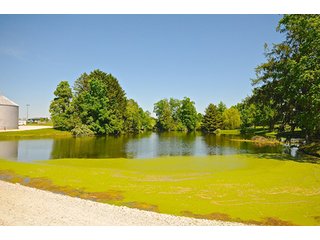 Property photo 80 - LAND AUCTION - 604+/- ACRES OFFERED IN 24 TRACTS IN MORGAN COUNTY, INDIANA